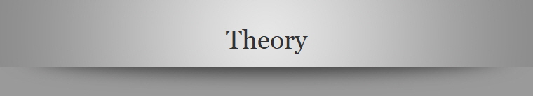 Theory